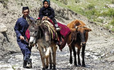 3、分類性復習從大的方面分,可以分為:基...