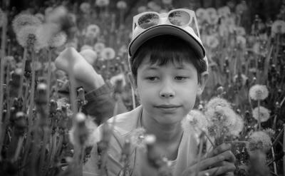 ��ҕ���ʩ�̵�ԭ�t�������n��W�����o����...