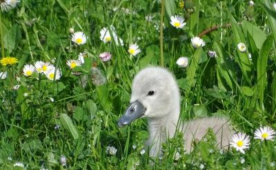 ߣߣߣߣߣߣߣߣߣߣߣߣߣߣߣߣߣߣߣ...