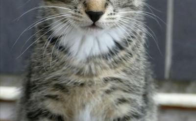 2����У�ο�