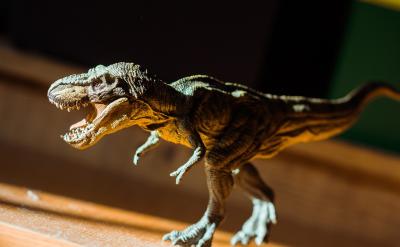 ƪ3�����Z�̲Ĵ�ȫ