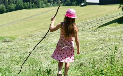 2. 怎么用好錯題本?