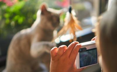 所謂“音通音近”還必須包括聲母和韻母兩個(gè)...