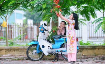 篇5:高三語文備考攻略