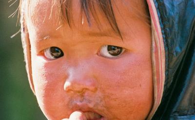 你只需做三件事: