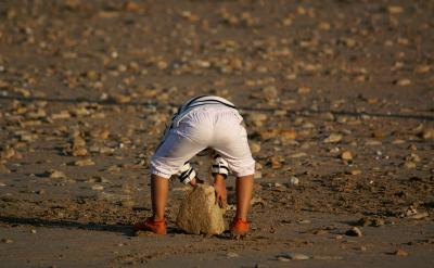 二、在語文教學中,注意激發,培養學生真摯...