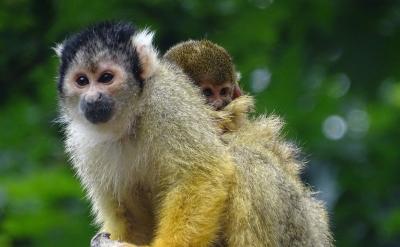 expandone��sscopeofknowledge