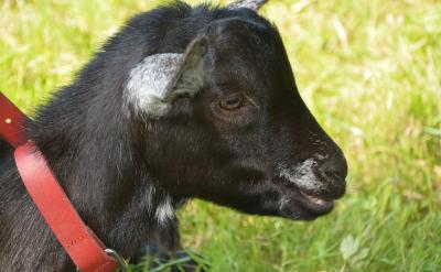 �m�ϵČW���YԴ