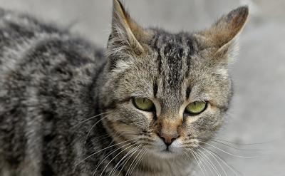 ���л��WӋ���}����Ϳ��ā��f߀�Ǳ��^���...