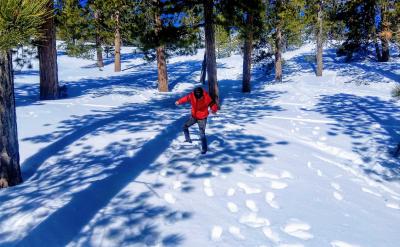 ����������I