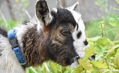 只有你成績好了,你才能有資格去選一份自己...