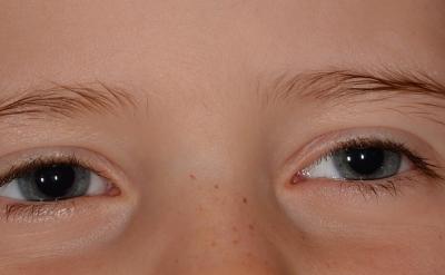 臘八節每年農歷十二月初八慶祝,是春節期間...