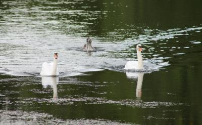 帶娃探索世界,激發求知欲