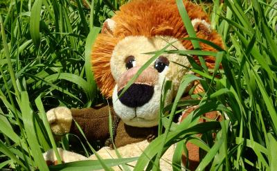 [�����܌W�Ļ���֪�R�c]