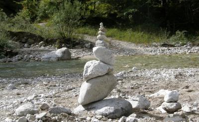 5. gMľ