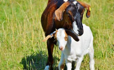 15.Do one thing at a time, and do well...