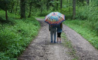 [3]����.���������ڳ�������̌W�е���Ч�B...