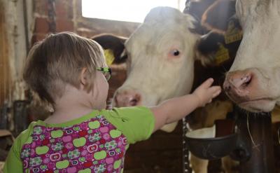 (3) 學(xué)生的基礎(chǔ)知識(shí)不夠扎實(shí),學(xué)習(xí)困難學(xué)...