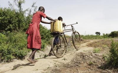 (2)正確理解樣本數(shù)據(jù)的特征和數(shù)據(jù)的代表...