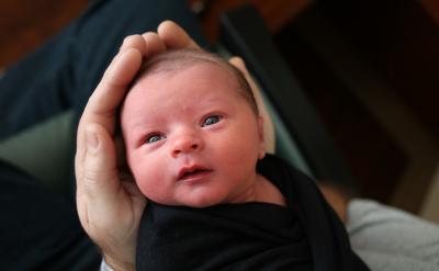 按照不同點、相同點、相似點的順序提高觀察水平