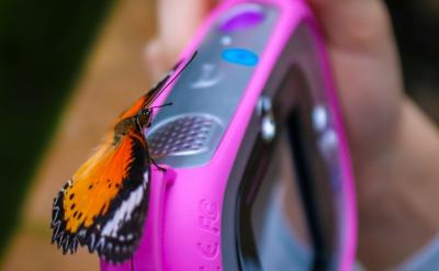 以單元復習為主,歸類復習為輔,滲透學生的...