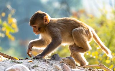 比如讓孩子把上一次考試的自己當做是自己的...