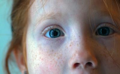 二、教育教學此文轉自工作方面