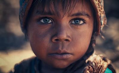 3、指導(dǎo)學(xué)生評析詩句。