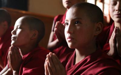 所謂診斷,要看準對象,確定病因,對癥下藥...