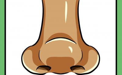 篇3:提升兒童記憶力