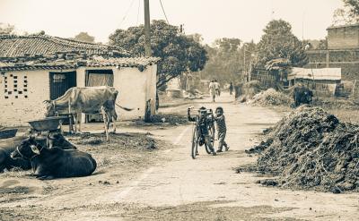 3�����꼉�Z�Ĵ󼯂䡣