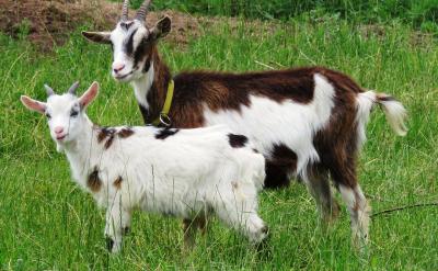 �����m��(d��ng)�{(di��o)�����n�r(sh��)�g�Ļ��(d��ng)���������_�W(xu��)��...