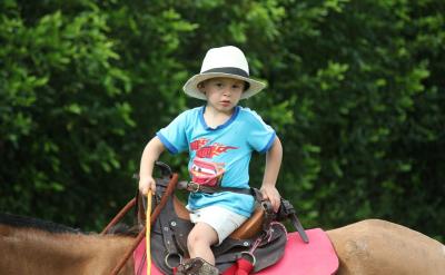 四、長期跟蹤與效果評估