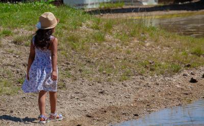 5. �������ʣ����������f������