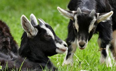 第1周復習1——4單元