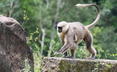 45�������䌍�ͳ��Ѕ^�e�ܴ�ģ���鼴ʹ��...