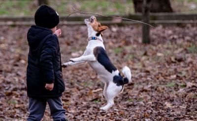 一題多練,對一些較難的題目從多方面進行練...