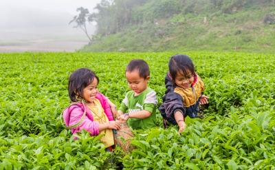 2.���ˏ��{�ͼӏ��Z�⣬ֻ�Ю�Not only�� b...