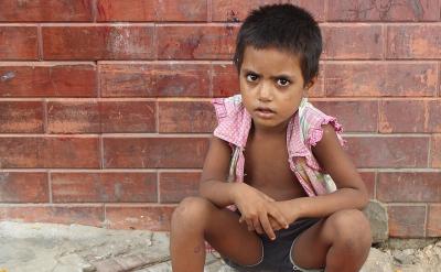 一只鴿子老是不斷地搬家。它覺得,每次新窩...