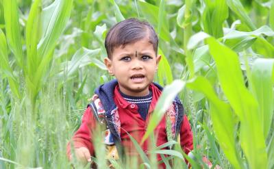 篇10:高考數學高效復習攻略