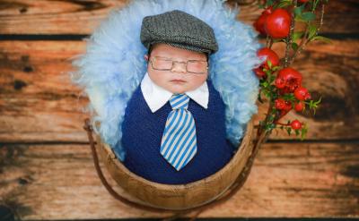 綠遍山原:山坡是綠的,原野是綠的,綠的樹...