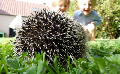 寶貝,新的一年,爸爸媽媽由衷的期望,我們...