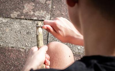 �w�{������֪�R�Ĵ�B