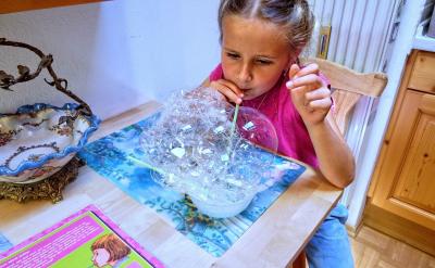 2.2ͨ�^(gu��)���팍(sh��)�(y��n)�n�Ľ̌W(xu��)��(n��i)�ݵĸ���(l��i)���B(y��ng)...