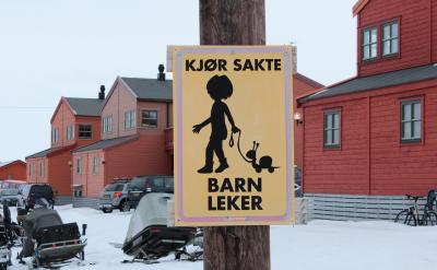 5. 社會適應性:融入集體,和諧共生