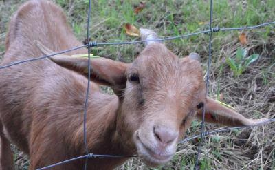 ���@�NС�M�f���̌Wģʽ���H����ˌW������...