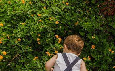 除了外部的幫助,學生自身也需要學會調節情...
