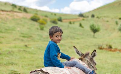 合理引導和適度寵愛