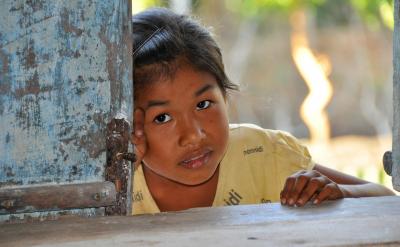 組成:1、生物部分:生產(chǎn)者(植物)、消費...