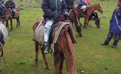 其次,“寫得好的,必定讀得多”,這對(duì)嗎?...